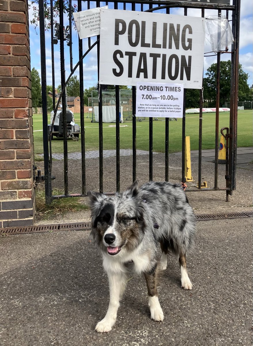 Liath voting for dog treats #DogsAtPollingStations