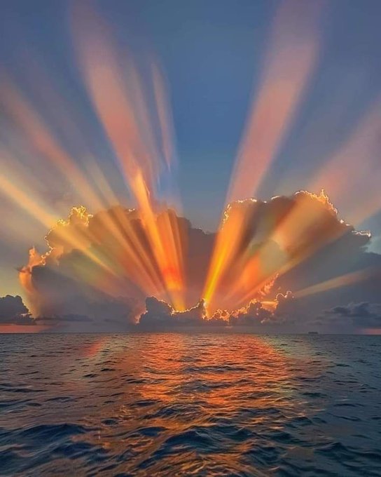 Behappy19733's tweet photo. #sunste #Photo #Foto https://t.co/xgvHpT7Nd6