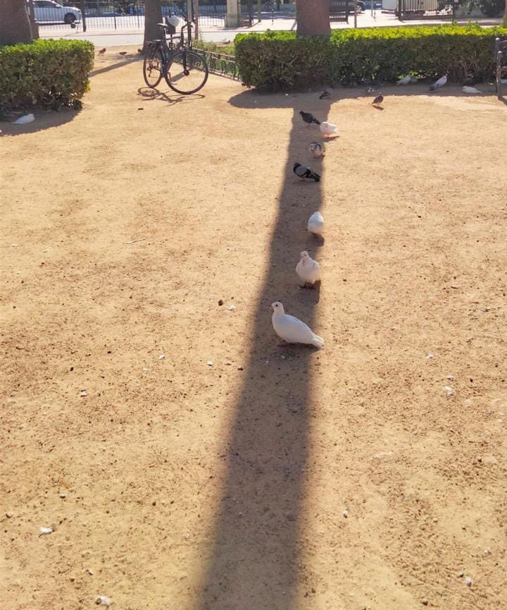 ¿Hace mucha calor ahora mismo por Sevilla? 

Sevilla: