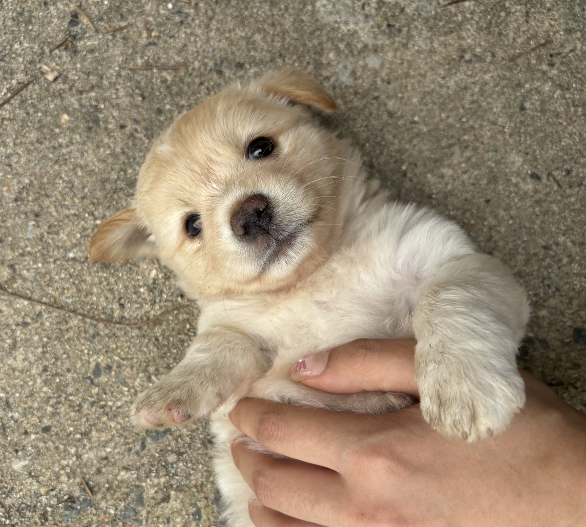 간장이 tweet media