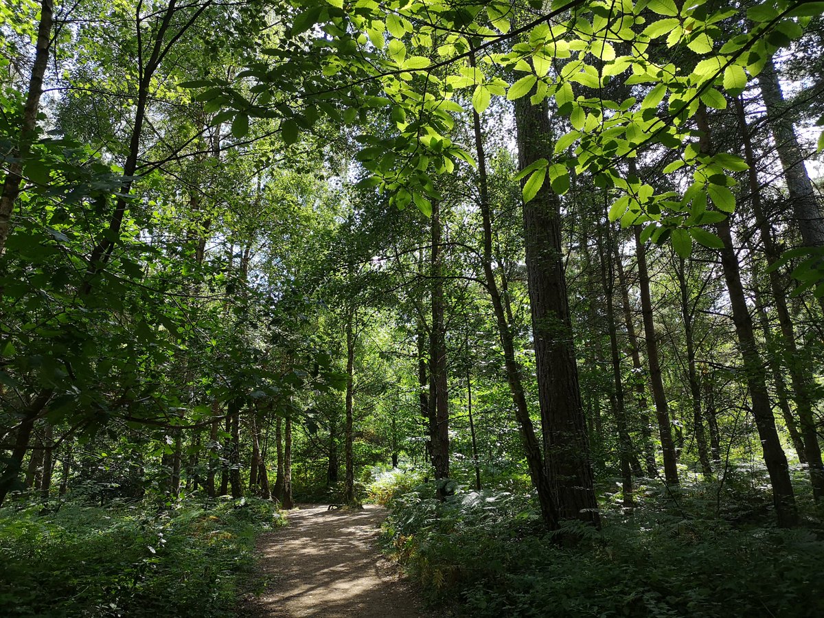 With the weather getting better, there's no better time to explore the countryside and outdoor spaces across Nottinghamshire 💚

Get inspired and find things to do on our website 👉 visit-nottinghamshire.co.uk/the-great-outd…

📸 Sherwood Pines by Claire Jones