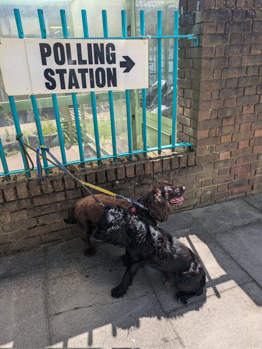 Simon McVicker (@simonmcvicker) on Twitter photo #DogsatPollingStations <a href="/VotingDogs/">#DogsAtPollingStations</a>
Barney incredibly at his 5th General Election at the Grand old age of 15 and Baxter at his 4th at 13! Wonderful dogs. #DogsatPollingStations <a href="/VotingDogs/">#DogsAtPollingStations</a>
Barney incredibly at his 5th General Election at the Grand old age of 15 and Baxter at his 4th at 13! Wonderful dogs.