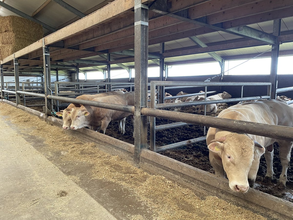 Onno James tweet media