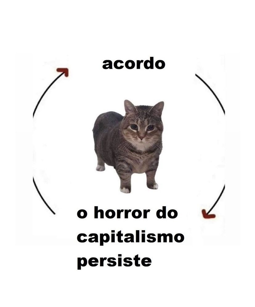 umvicente's tweet image. 