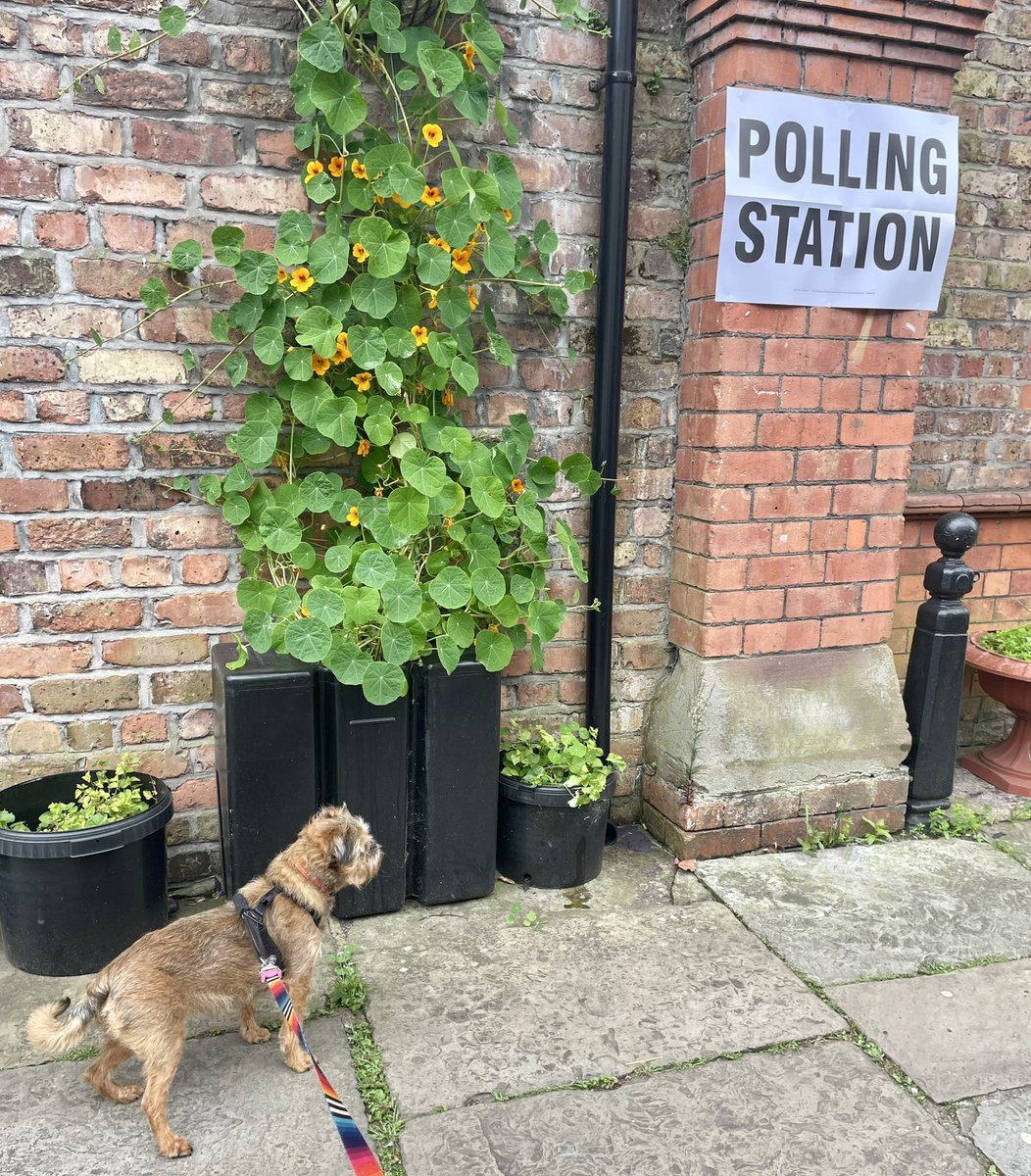 Coco was very eager to get to the polling station. Bit disappointed not to see Scooby Doo, Sweep or The Littlest Hobo on the ballot paper again this year, but our vote is in! #dogsatthepollingstation
