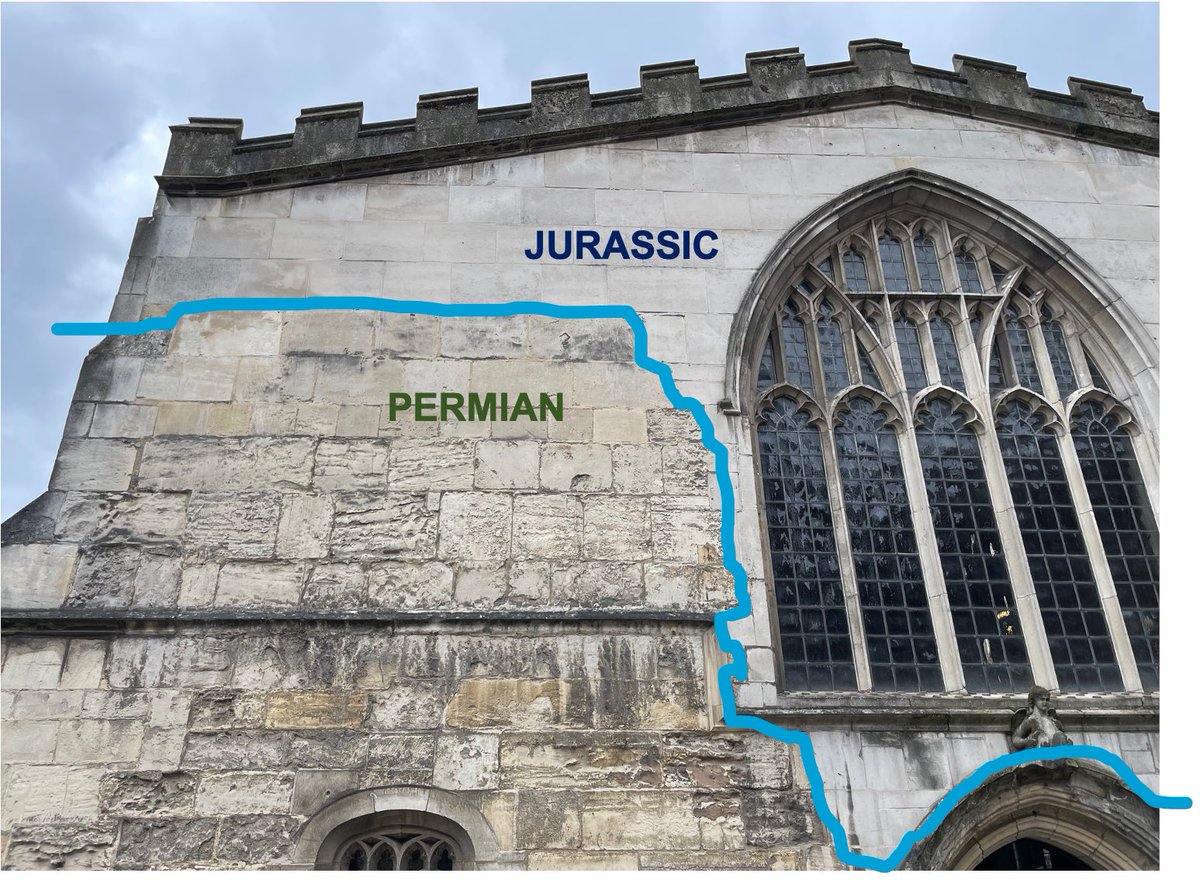 After all this #urbangeology excitement, and with it nearly being #FossilFriday, I decided I should write an introduction to the ancient seafloors of York Guildhall. Here it is: fossilhub.org/yorkguildhall/!
