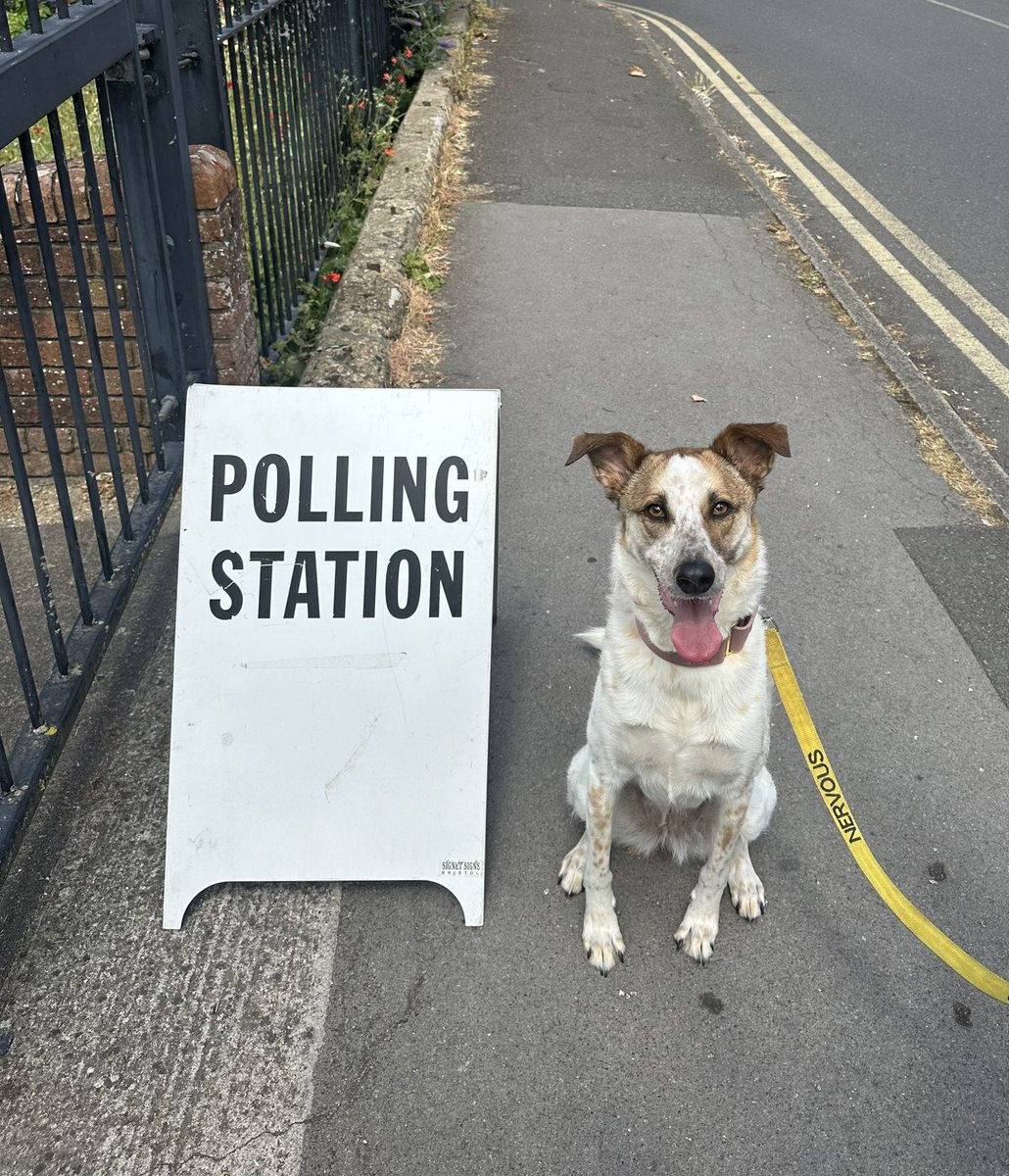 emansley's tweet photo. #dogsatpollingstations even nervy girls vote! https://t.co/flMmQDz0lx