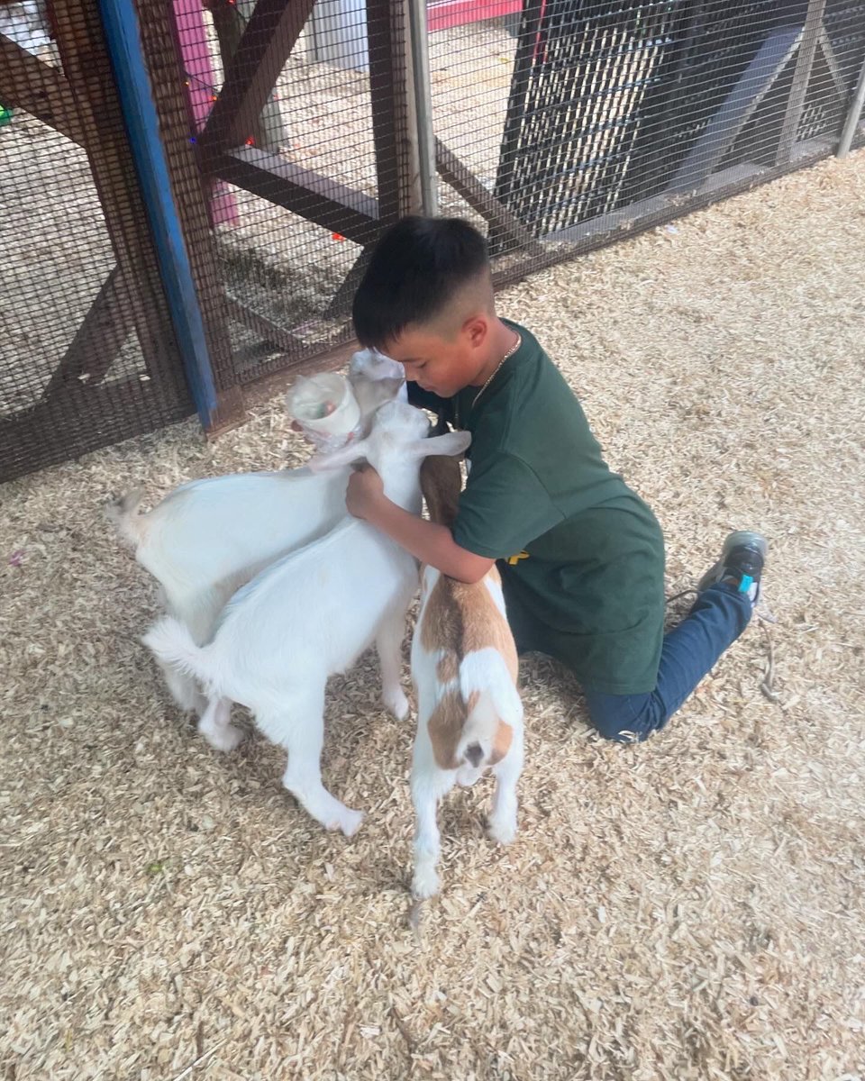 Pbcpal's tweet photo. Week 2 of summer at our Lake Worth Beach site was a complete success! We hosted a water day, made possible by our awesome friends at Lake Worth Beach Fire Rescue! 🚒💦 Swimming, movies, the Girls Ice Cream Parlor &amp; Petting Zoo, the Lake Worth Beach Playhouse seeing Shrek Jr! https://t.co/uP6ksbghym