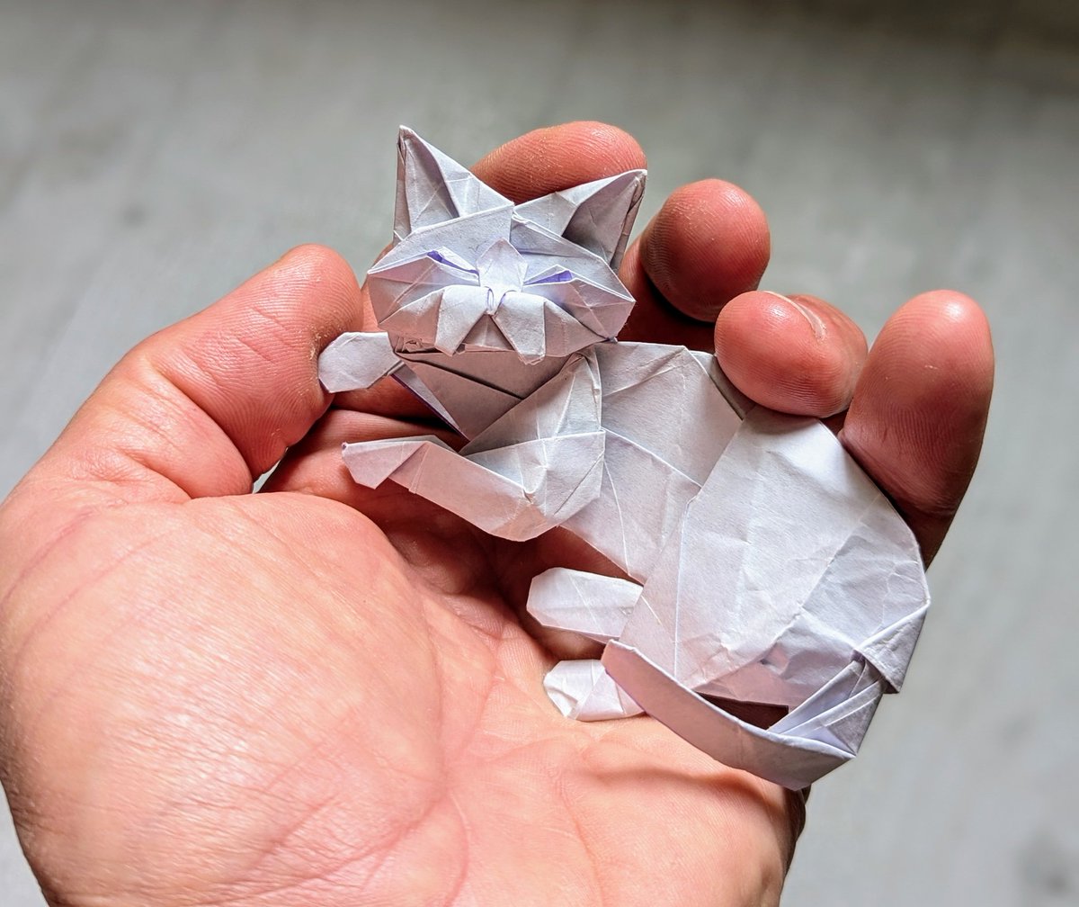 Chaton qui dort :-) 
De Kyohei Katsuta