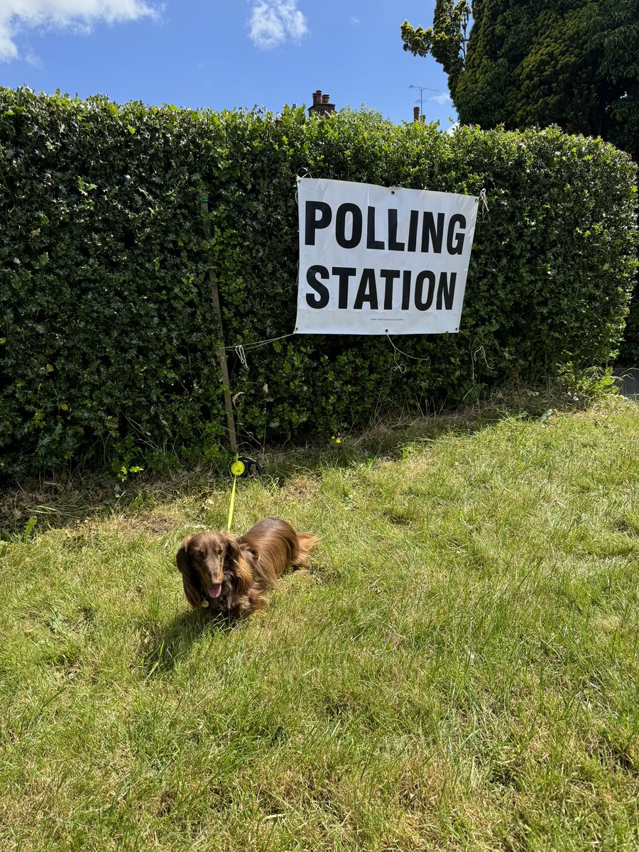 #dogsatpollingstations