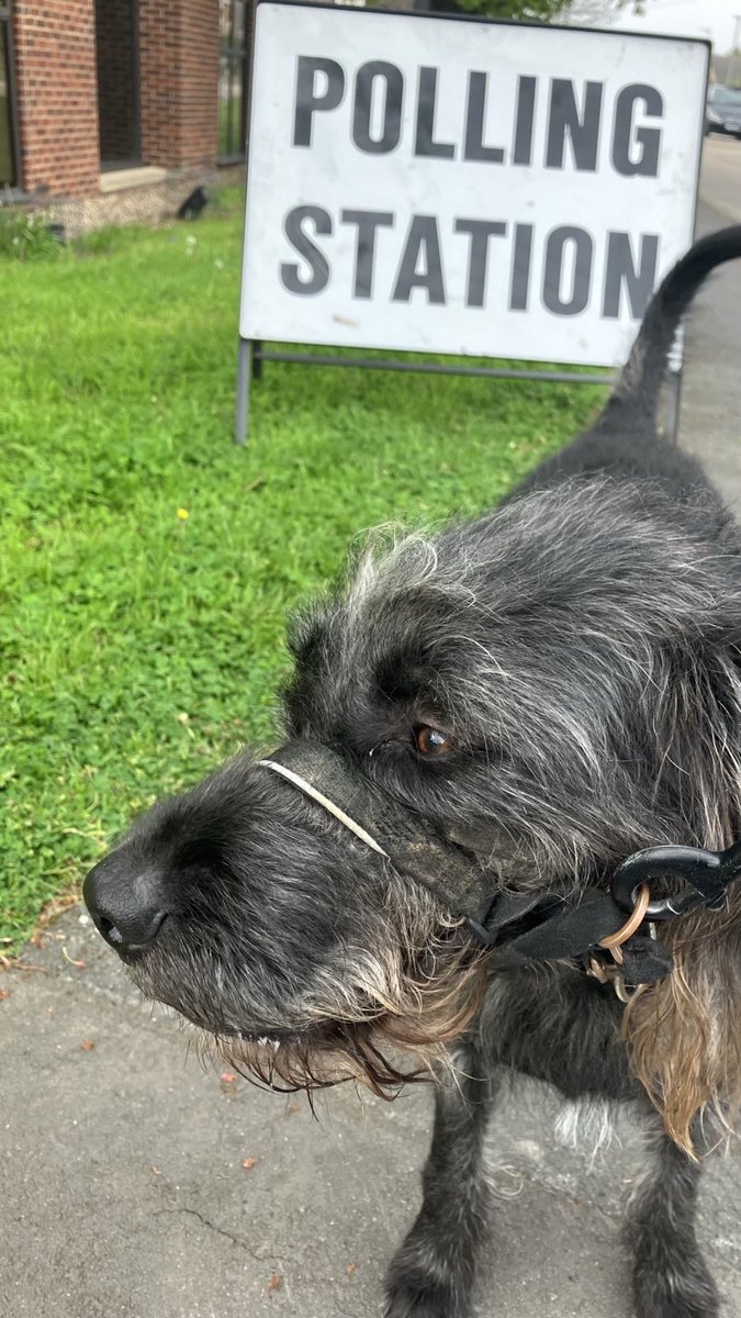 AnneVCooke's tweet photo. #dogsatpollingstations https://t.co/5fD3fgNfUP