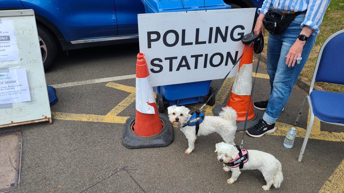 PeterDavidAdams's tweet photo. Benny and Blossom looking forward to seeing this rotten Tory Government put in the bin today. #dogsatpollingstations https://t.co/WQxvnmJ12m