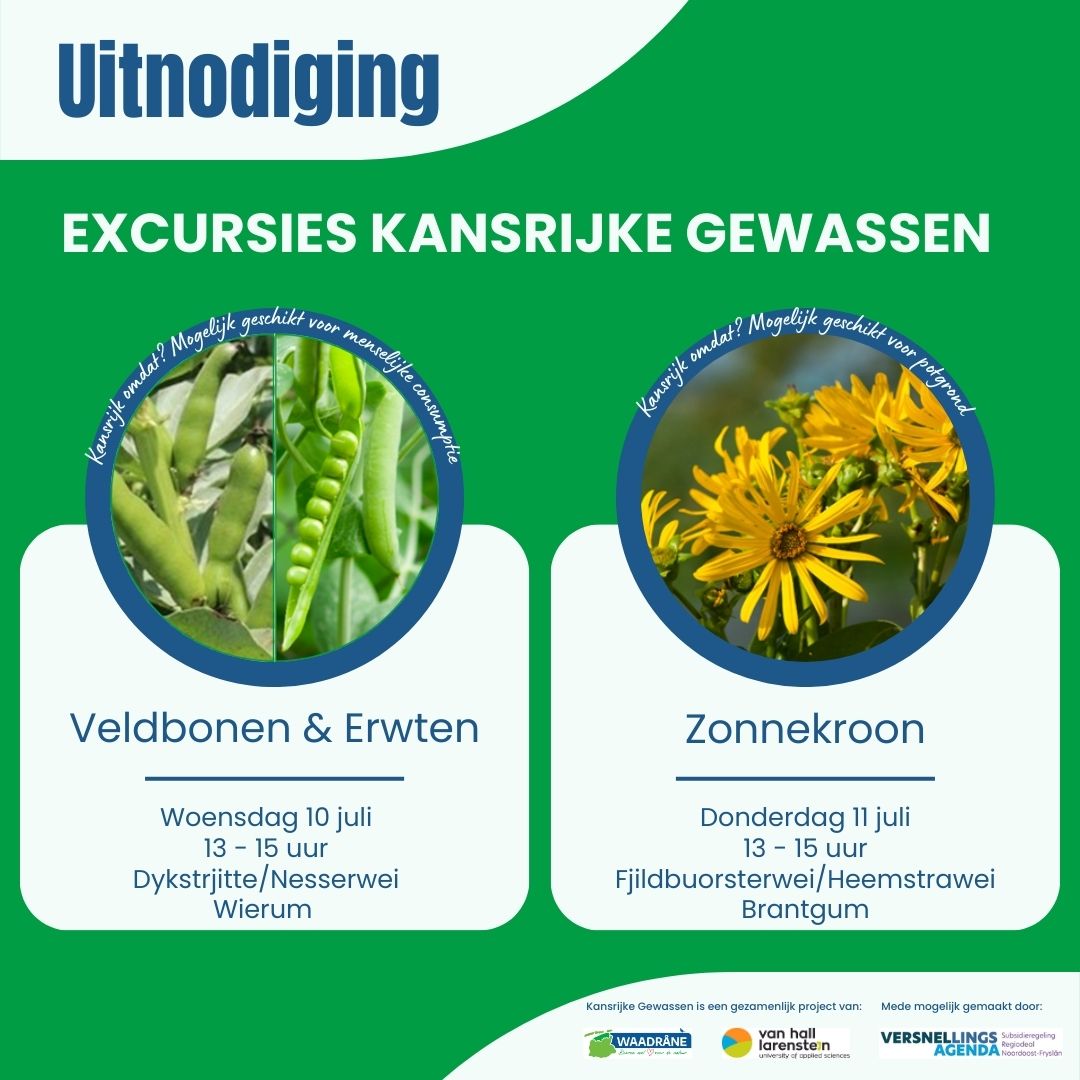 Op 10 en 11 juli a.s. worden excursies georganiseerd naar de kansrijke gewassen Veldbonen/Erwten en Zonnekroon. Nieuwsgierig naar de teelt en verwachtingen van deze gewassen, kom dan langs en laat je informeren. Meer info: waadrane.frl/agenda