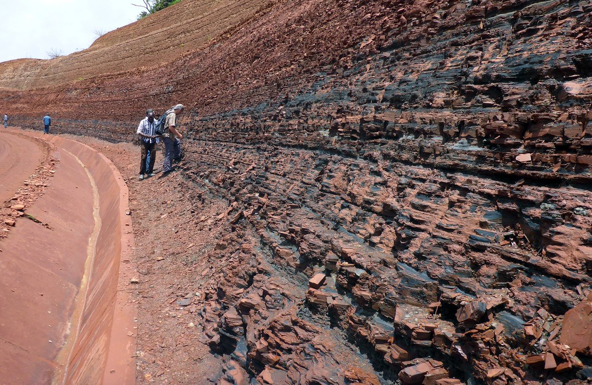 Skal bore opp geologiske gåter i Gabon❗️

NGU-forskere er med i en sterk internasjonale forskergruppe fra 17 land som er tildelt 1,6 millioner dollar til et omfattende boreprogram i det vestafrikanske landet Gabon🇬🇦

👉Her er historien: ngu.no/nyheter/skal-b…
