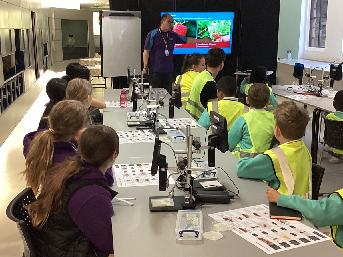 Putney High Library tweet media