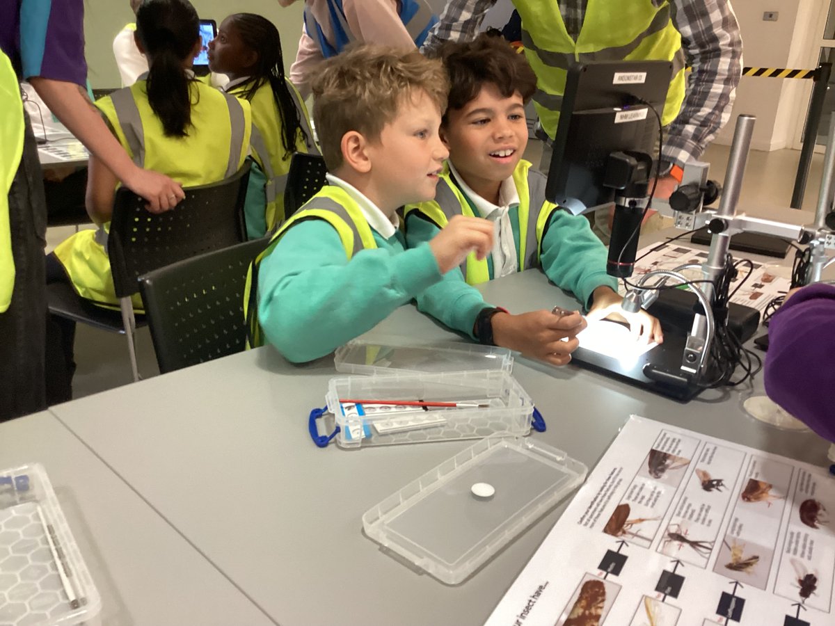 Putney High Library tweet media