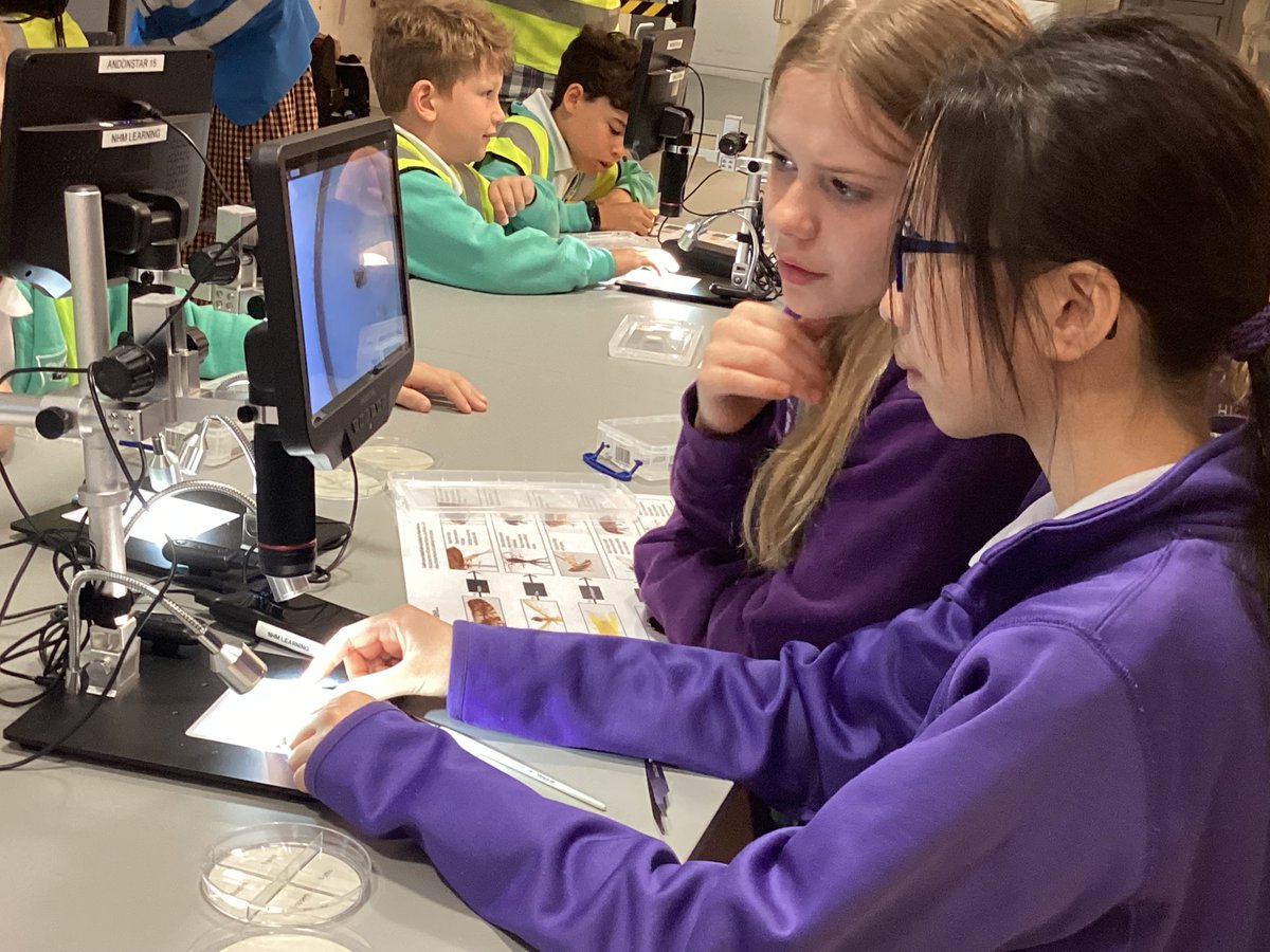 Putney High Library tweet media