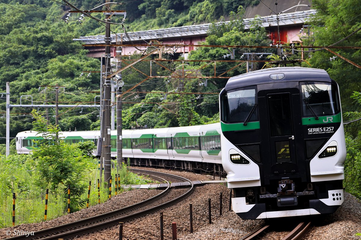 ZmdClIXYLnpvu8R's tweet image. #愛用レンズを画像付きで布教する
EF 70-300mm F4-5.6 L IS USM
長年使ってきたせいか、少し前に故障してしまいましたが、自分の用途にはマッチしていたので、あえて修理・オーバーホール予定🔧