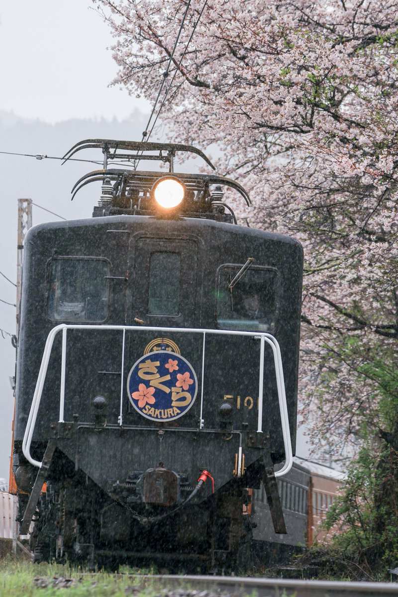 ZmdClIXYLnpvu8R's tweet image. #愛用レンズを画像付きで布教する
EF 70-300mm F4-5.6 L IS USM
長年使ってきたせいか、少し前に故障してしまいましたが、自分の用途にはマッチしていたので、あえて修理・オーバーホール予定🔧