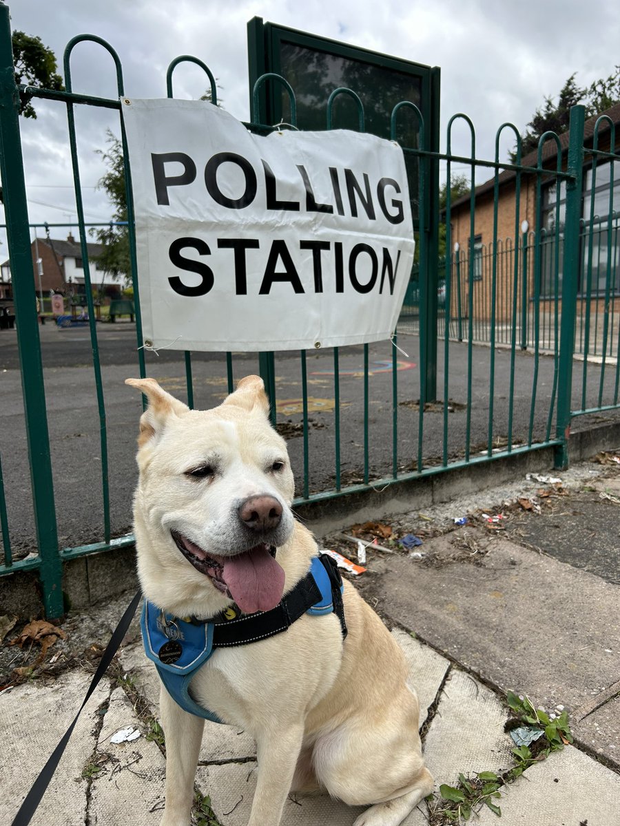 #dogsatpollingstations