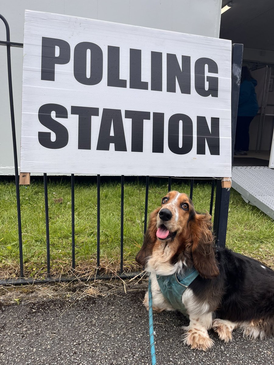 _TomRob's tweet image. Betty says go and vote

#DogsAtPollingStations