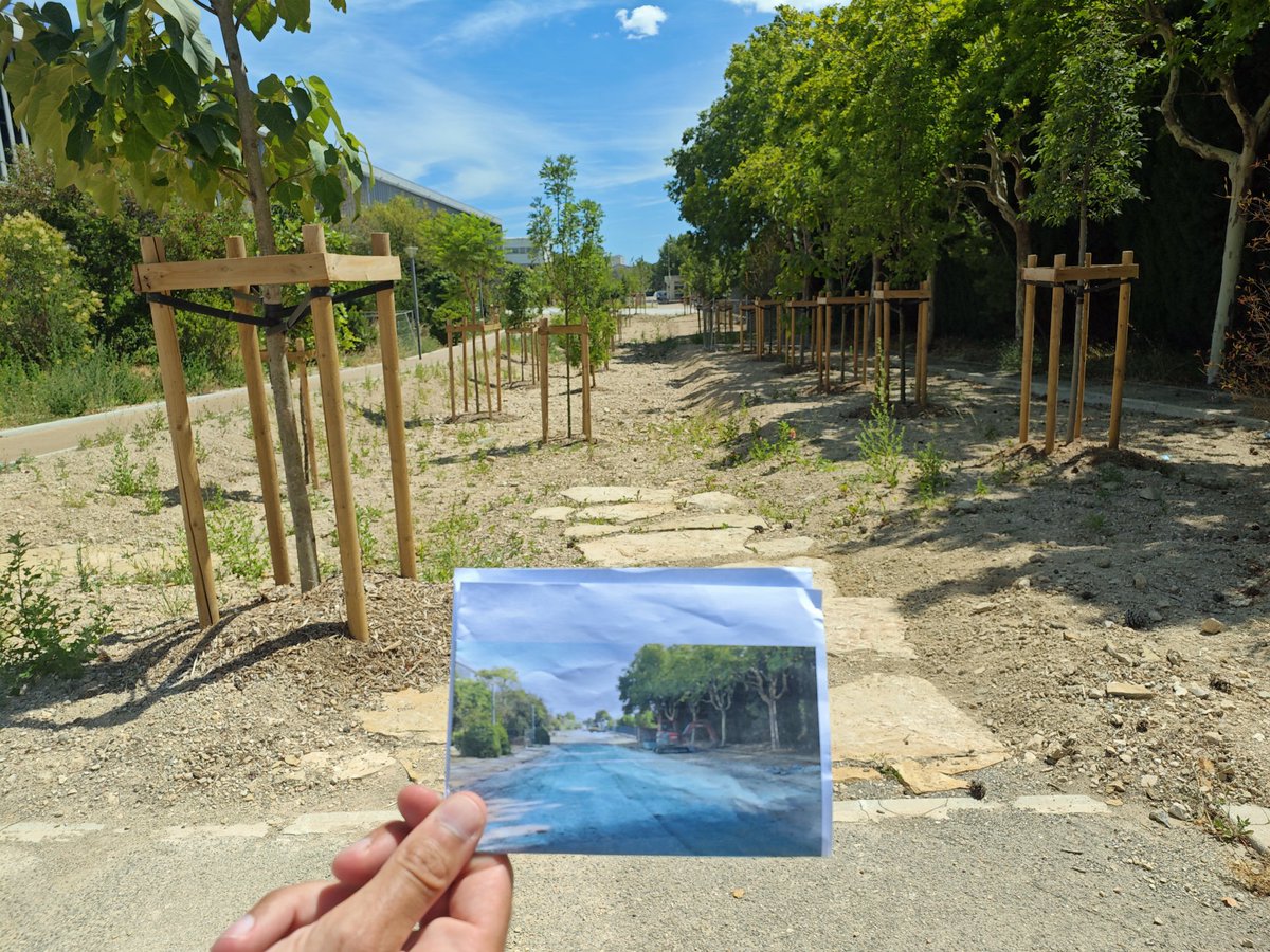 🤩 That's rewarding! Just 6 months ago, this place in Marseille was nothing but asphalt 😬

🌿 NbS FTW 💪

Amazing work by <a href="/CARDIMED_EU/">CARDIMED project</a> and partners from France: Region PACA, University Aux-Marsielle, <a href="/ut_semide/">UT SEMIDE</a>, EMPAN