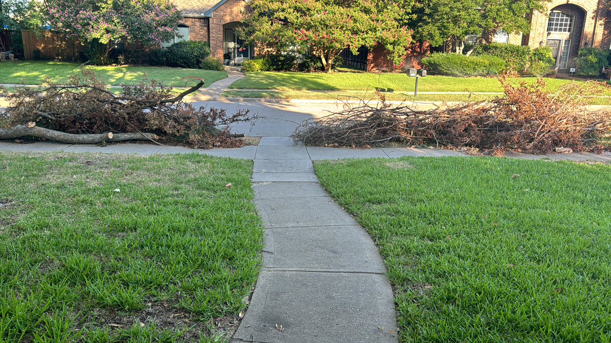 AkelliaS's tweet photo. @cityofplanotx So everyone front looks horrible and finally y’all get to our area but you pick up only the alley and not the front where everyone has there trees can yall fix this https://t.co/RhYsiifg4w