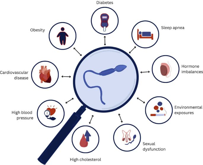 IJIR: Your Sexual Medicine Journal (@yoursexmedjour) on Twitter photo Can semen analysis be utilized as a screening tool for overall health in young men? 👉 rdcu.be/dMKqn
<a href="/GalSaffatiMD/">Gal Saffati</a> <a href="/bcm_urology/">BCM Department of Urology</a> <a href="/bcm_urology/">BCM Department of Urology</a> <a href="/HMethodistUro/">Houston Methodist Urology and Residency Program</a> <a href="/nathanstarkemd/">Nathan Starke, MD</a> <a href="/DrMohitKhera/">Mohit Khera</a> <a href="/AkhilMuthigi/">Akhil Muthigi, MD</a> Can semen analysis be utilized as a screening tool for overall health in young men? 👉 rdcu.be/dMKqn
<a href="/GalSaffatiMD/">Gal Saffati</a> <a href="/bcm_urology/">BCM Department of Urology</a> <a href="/bcm_urology/">BCM Department of Urology</a> <a href="/HMethodistUro/">Houston Methodist Urology and Residency Program</a> <a href="/nathanstarkemd/">Nathan Starke, MD</a> <a href="/DrMohitKhera/">Mohit Khera</a> <a href="/AkhilMuthigi/">Akhil Muthigi, MD</a>