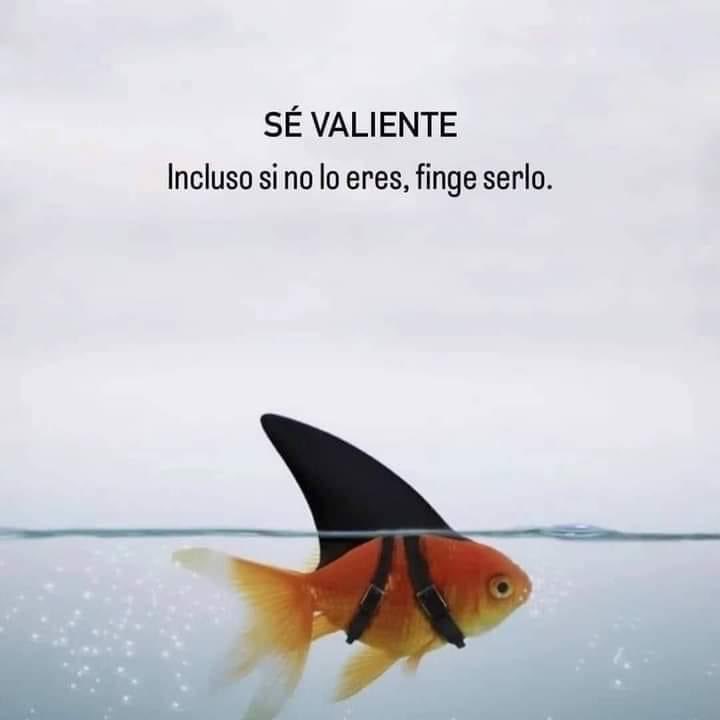 YarethGarcia21's tweet photo. Excelente jueves amigous! 🙏🏽✨ https://t.co/DIBcVtaGJy