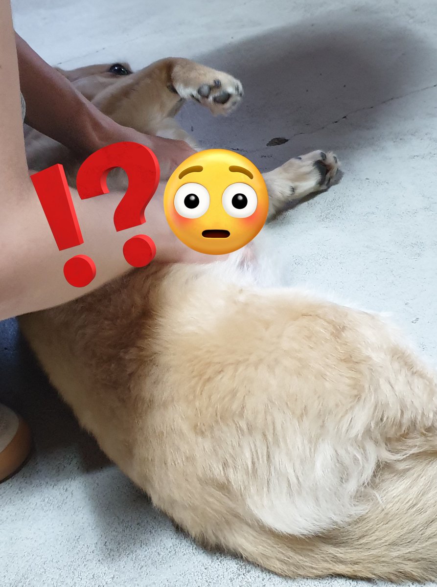 L0VE_119's tweet photo. 대구 초록도

자연 속에 들어온 기분이 든다!!! 2층 올라가서 문 열자마자 강아지 2마리가 반겨 줌... 쌤께서 조향하는 방법도 세세하게 가르쳐 주시고 이���적인 것부터 실전으로 가면 어떻게 달라지는지 설명을 꼼꼼히 해 주심 향 완성하고 나면 병꾸 커스텀도 가능!!! 원데이 클래스로 추천... https://t.co/aidf4xlPGl