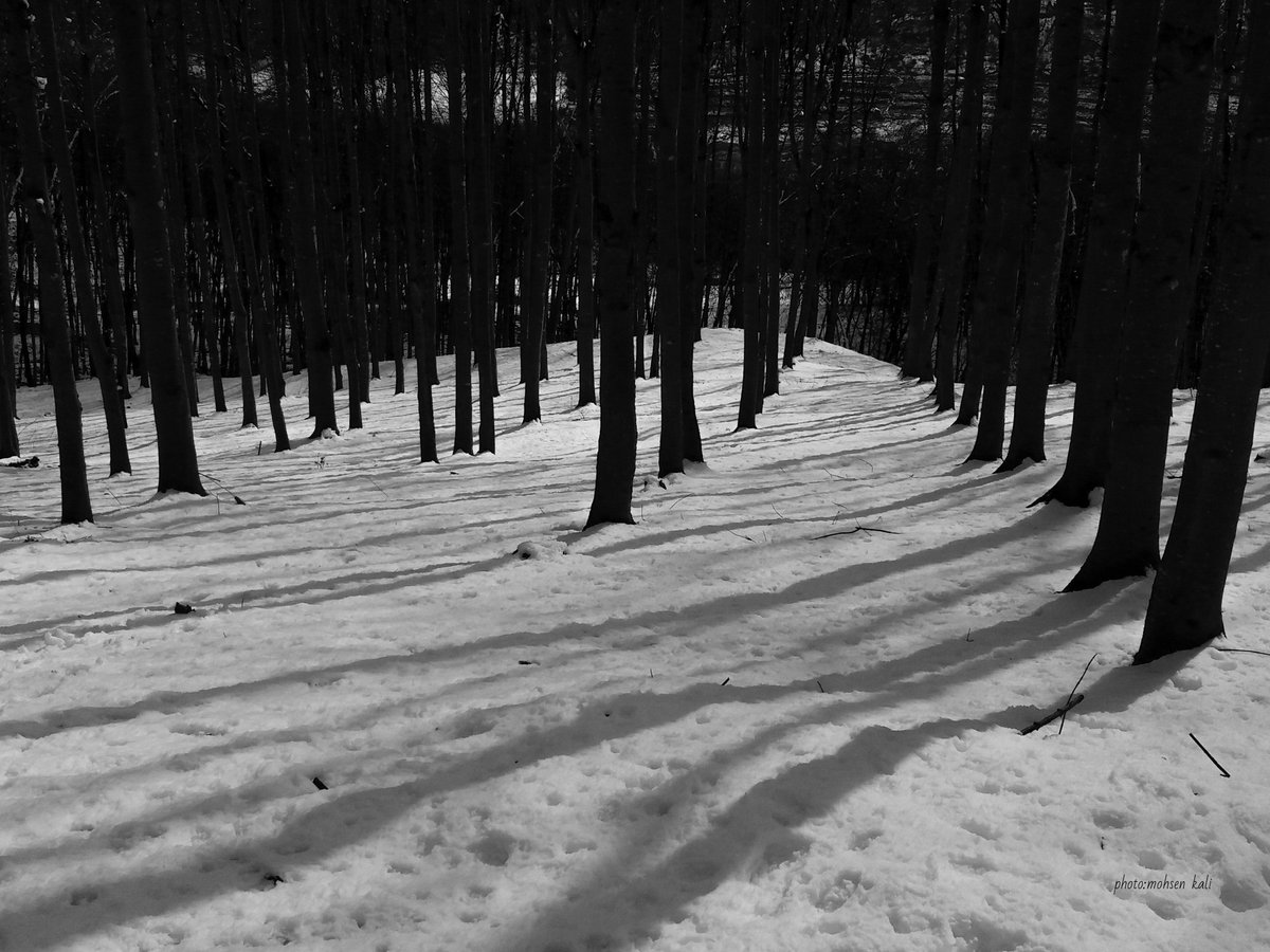 Gm ❤️

On secondary
 🔻🔻🔻

"Snow and shadow"
10 xtz

Link:objkt.com/tokens/hicetnu…

#nft #photography #blackandwhite #objkt #objktcom #objktnft #TezosArts #TezosNFTs #tezos #NFTCommunitys #nature #tree #NFT_Shill #mohsenkali #nftarti̇st #nftart #NFTdrops #NFTFam #bnw #darkart