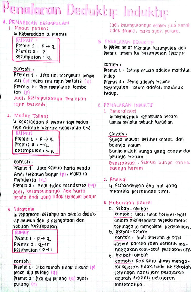 fibi tweet media