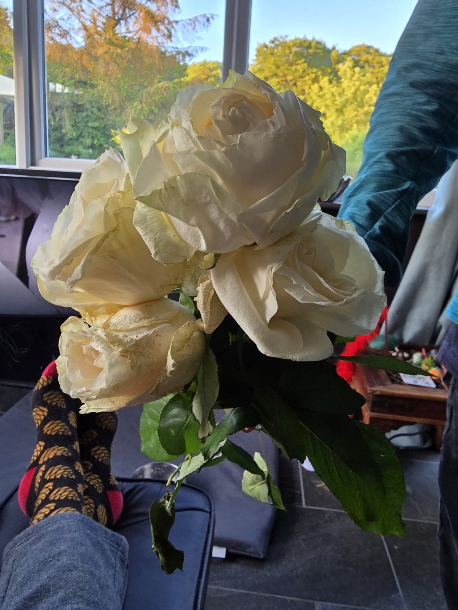 Tom 'Wombat' Perrott tweet media