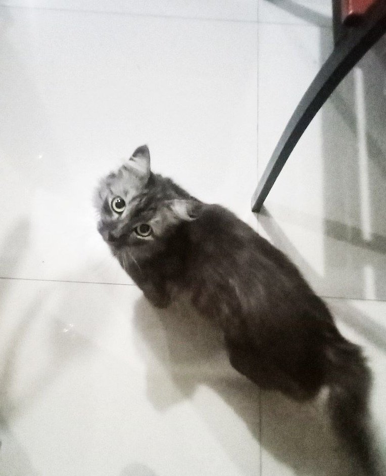 marahin nih anak gadis abis kabur