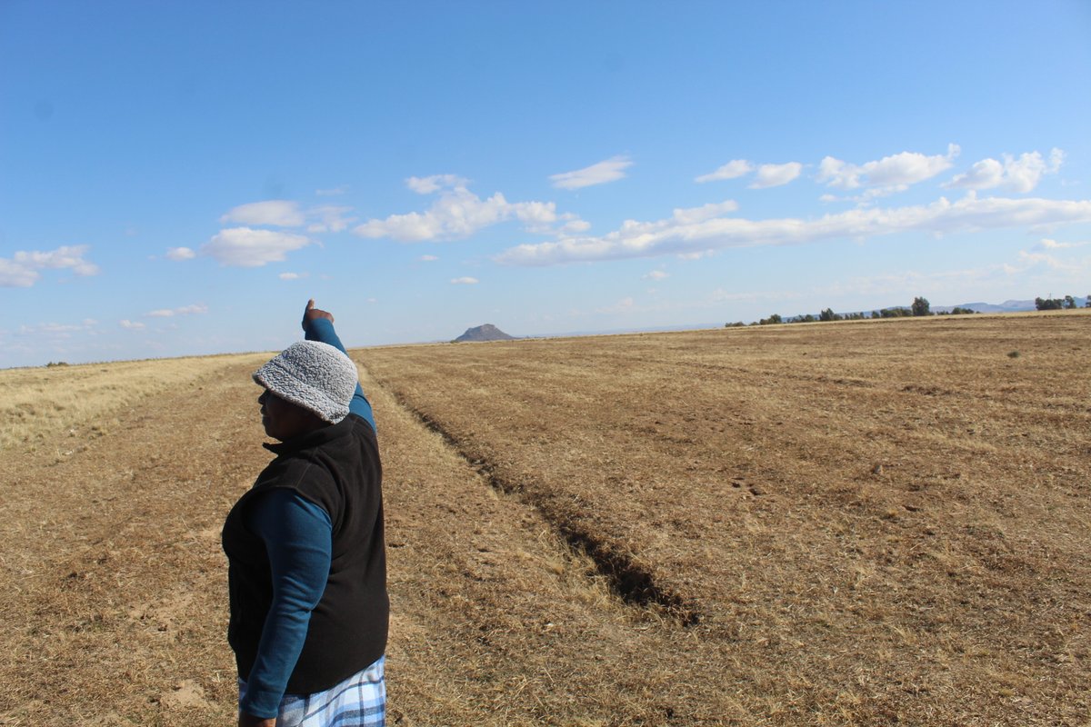 Lesotho faces a severe food crisis due to El Niño-induced drought, poor harvests, and inflation. 

About 325,000 people which is 41% of rural families spend over half their income on food.
<a href="/LesothoRedCross/">Lesotho Red Cross</a> teams through <a href="/IFRC_DREF/">IFRC-DREF</a> are assessing and assisting the hardest-hit areas