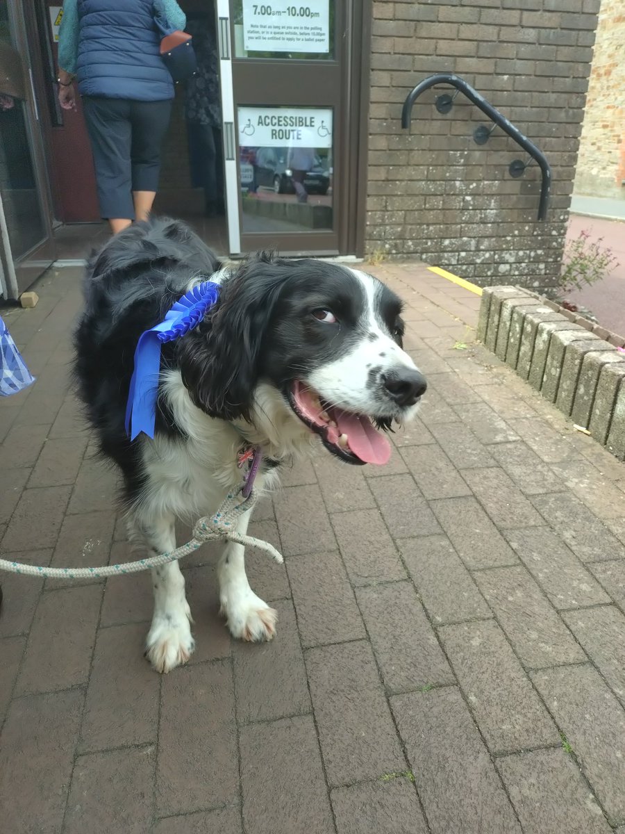 Scott Mann tweet media