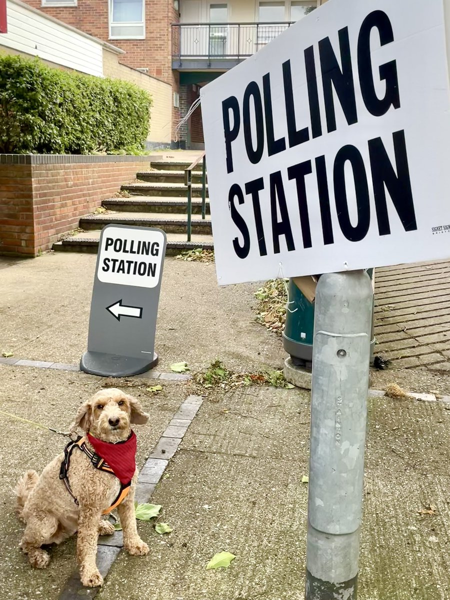 Rosa says don’t forget to vote!