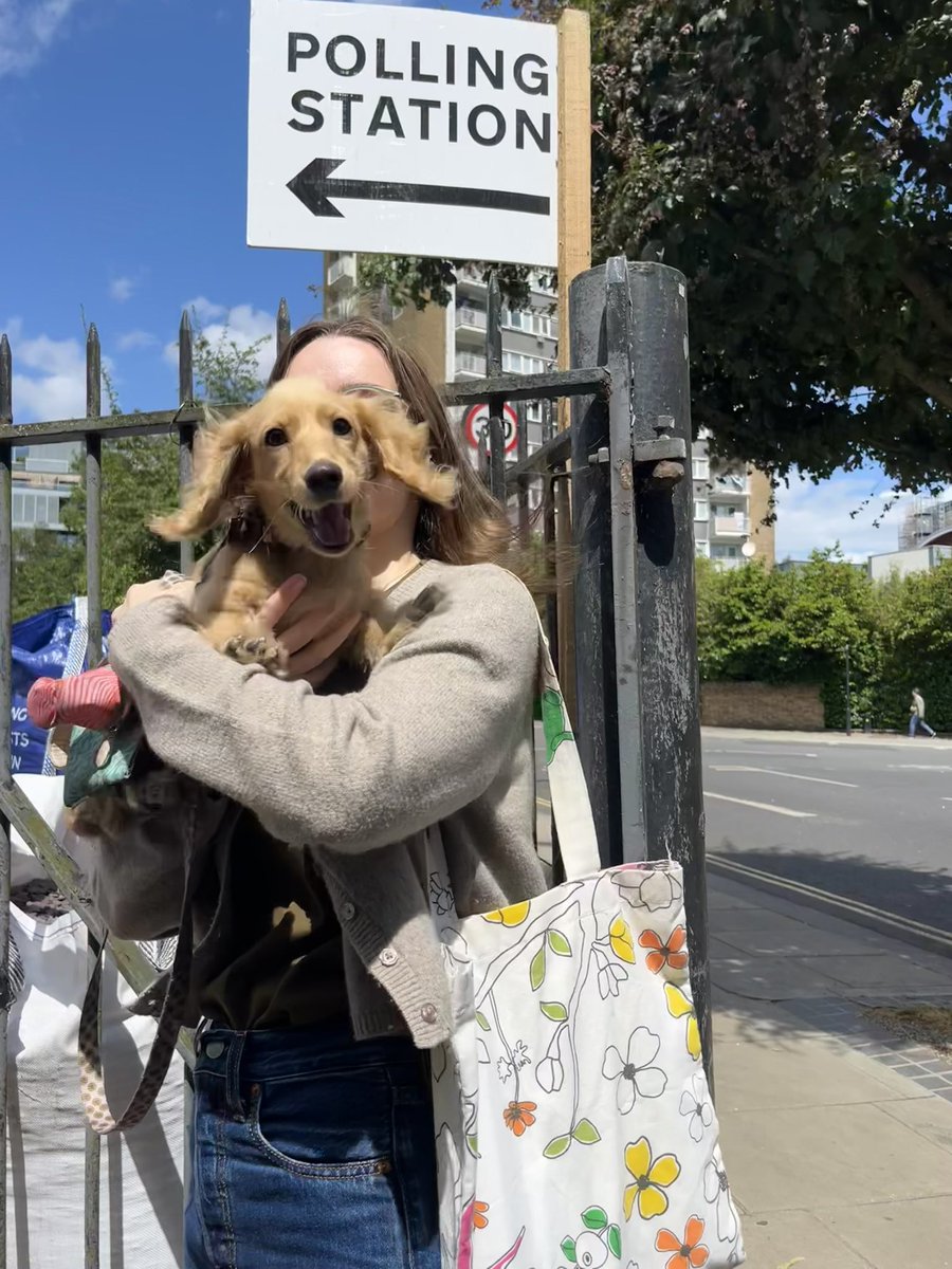smithcatherine7's tweet image. Bonnie was an extremely excited first time voter today 🗳️ #dogsatpollingstations