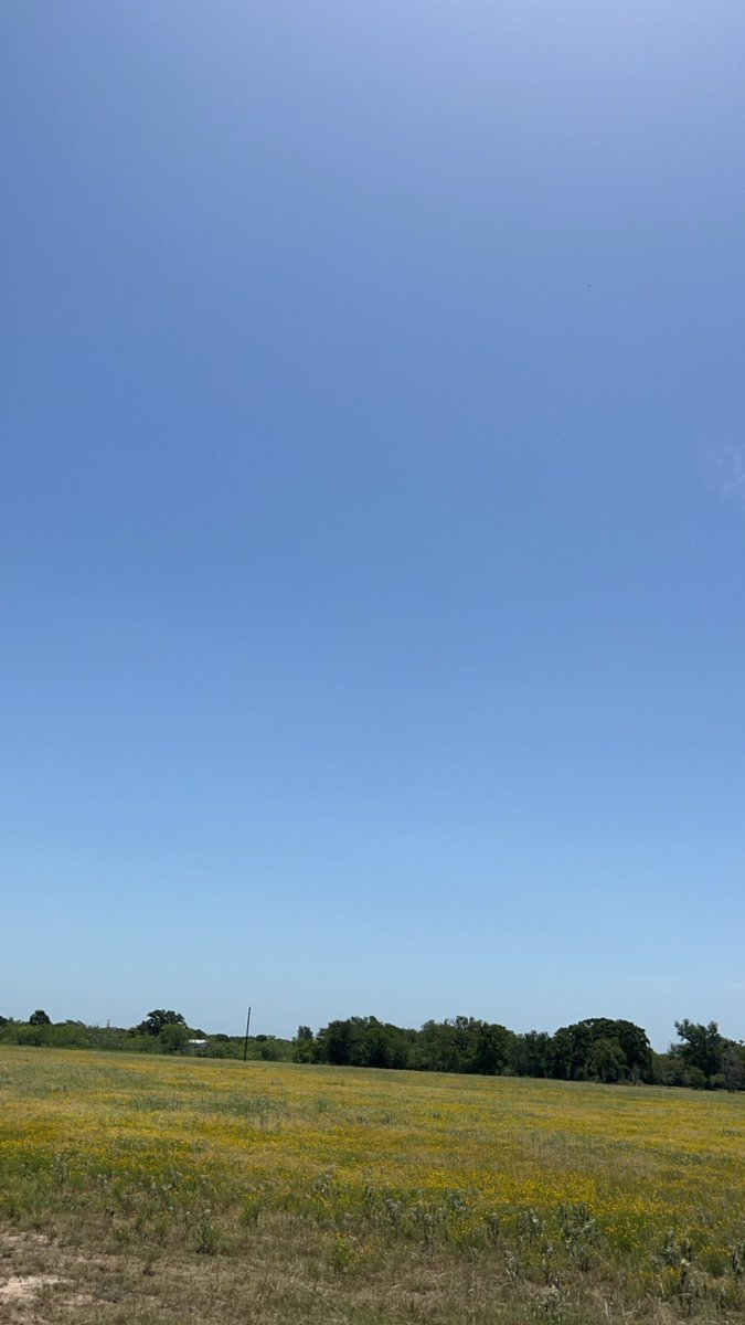 Asims_14's tweet image. 🎇😁