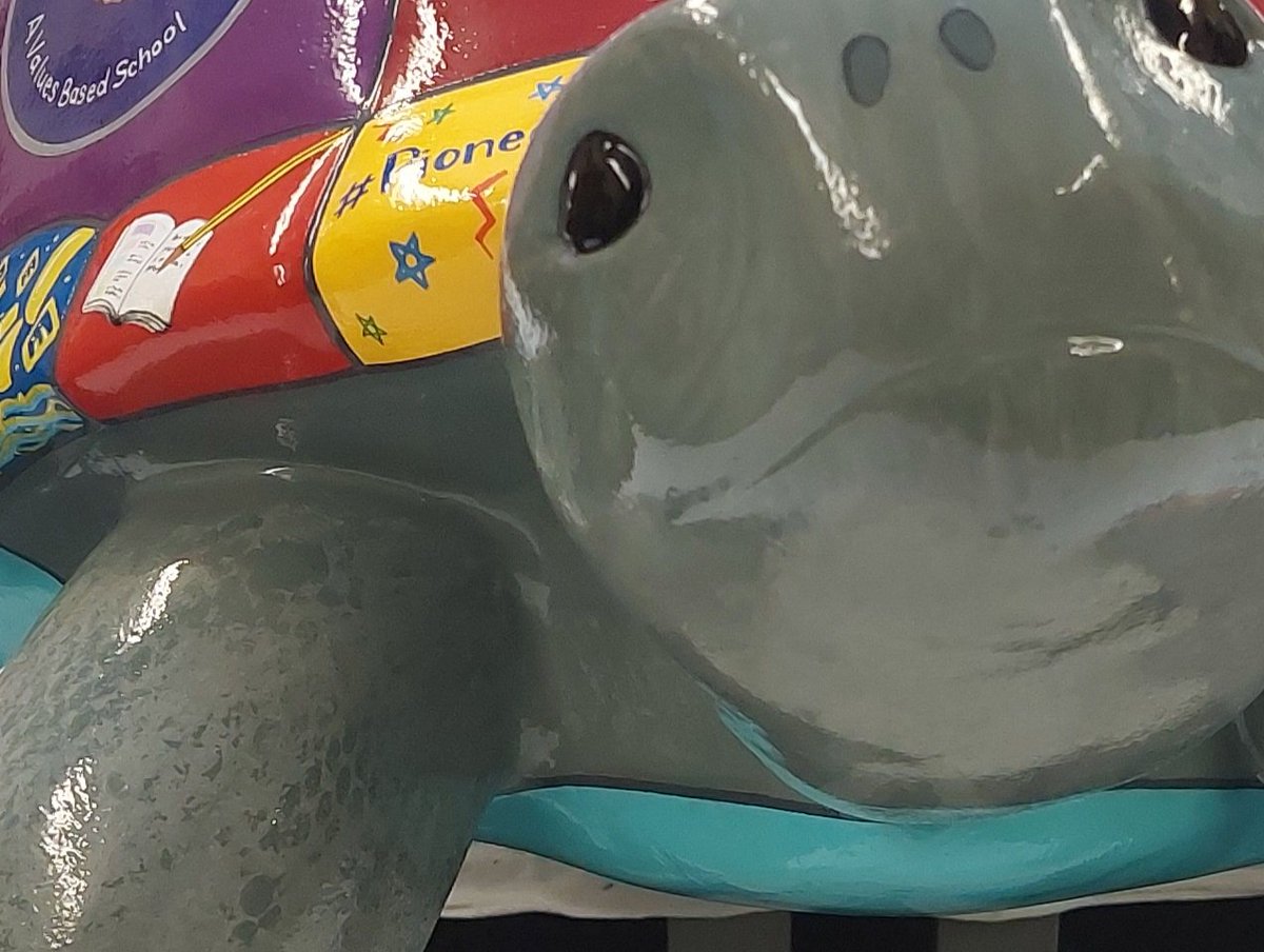 So excited for the start of the @ShortTailTrai. You can find our tortoise,  Trust, at Stockwood Park in the Discovery center 😀  Can't wait to see it 😊 Thank you to Mrs Palmer and all the children who worked so hard on our amazing sculpture 🙌🏻  #quality #unity #pioneerpromise