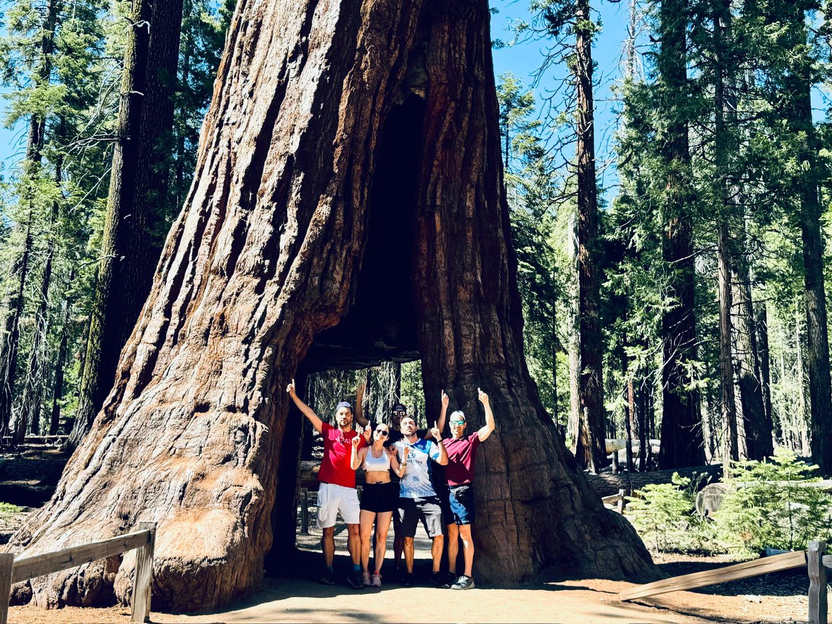 Final de otro mes top en Las Vegas,  la mejor compañía , buen poker, mucho cash , mucho torneo y mucho ocio. Con muchas ganas de volver ya en octubre……
Como ya es tradición cada año lo finalizamos con un deep run en un side 23/1256 para redondear.
<a href="/doniiii46978192/">doniiiii</a>