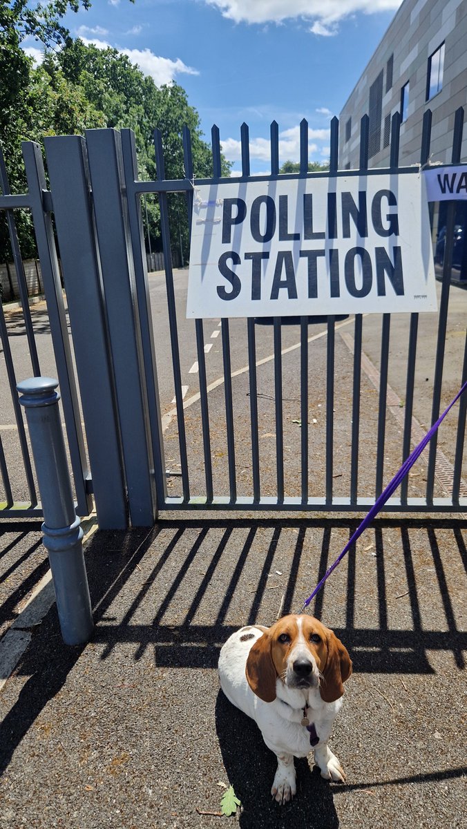 #dogsatpollingstations