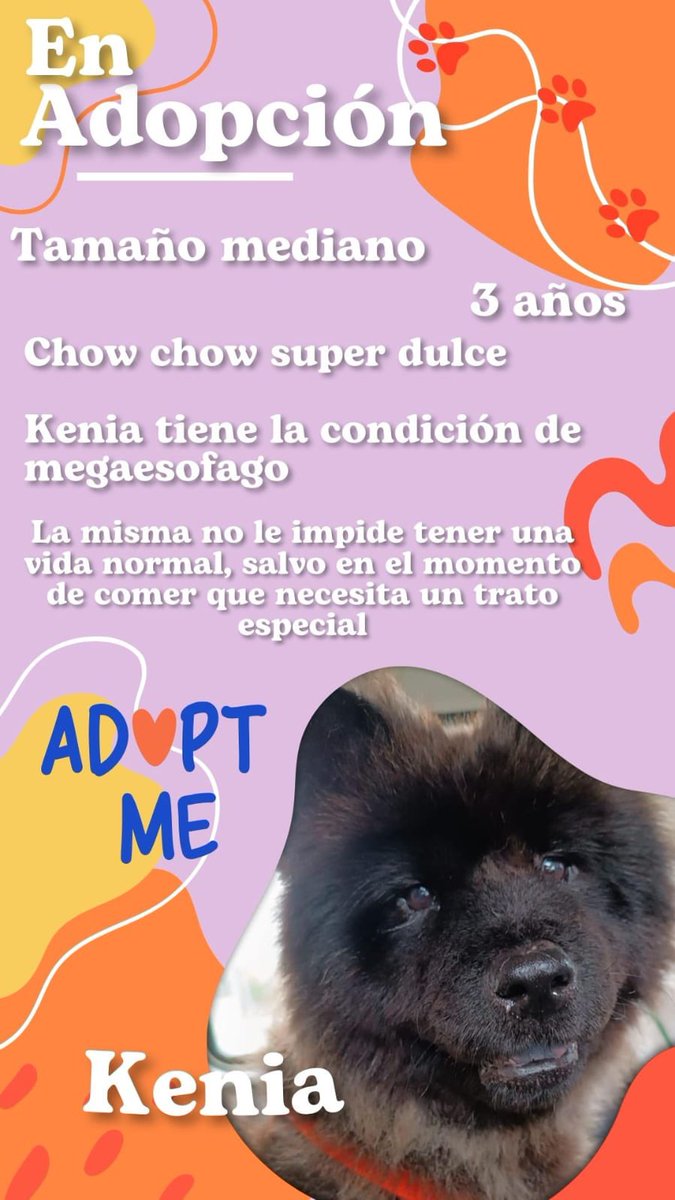 redbicheraoficialuruguay (@redbicheraof) on Twitter photo 