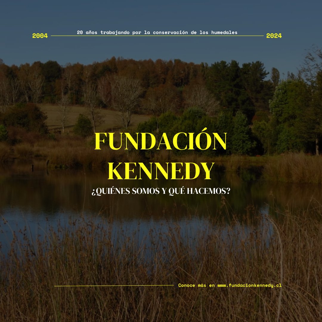 Fundación Kennedy tweet media