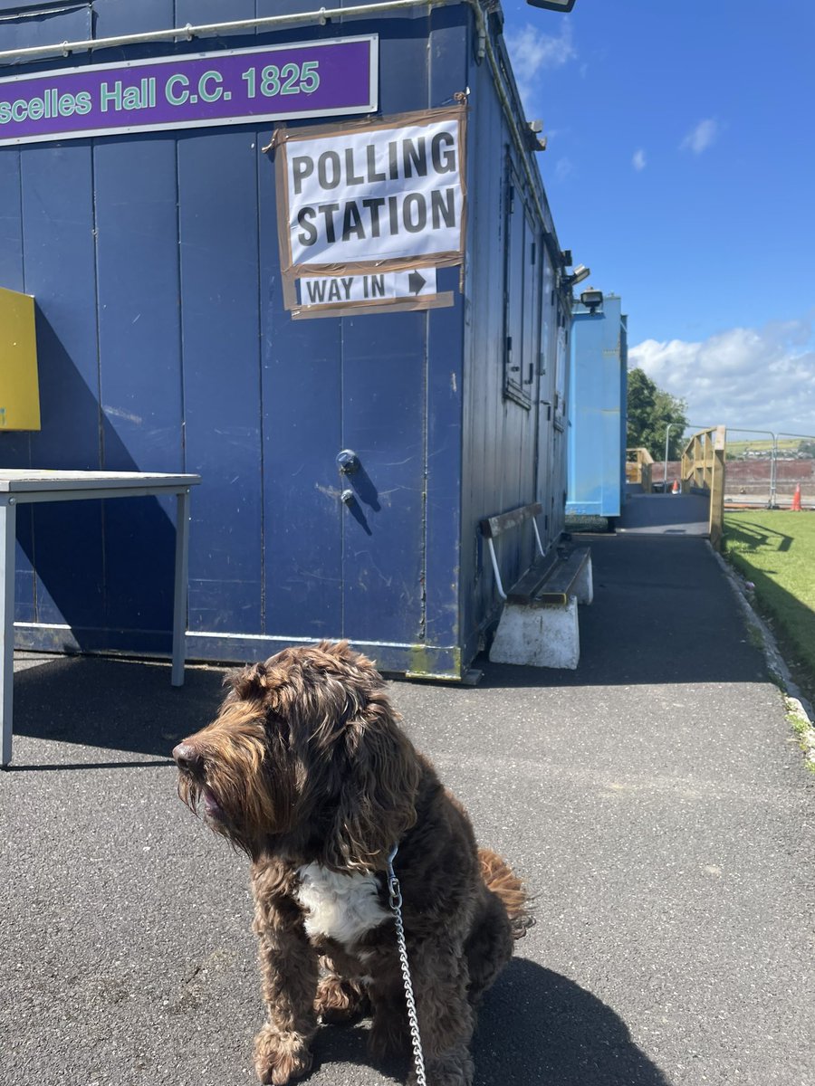 Two birds and all that! #vote