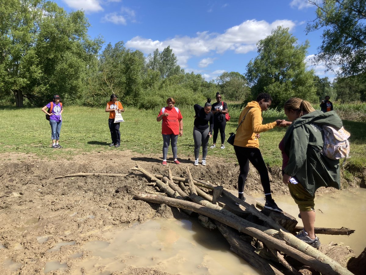 Art Branches tweet media