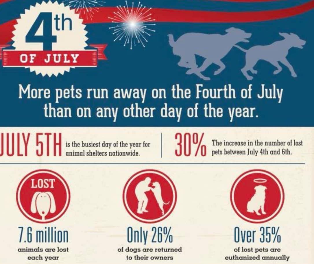 DPariseRacing's tweet photo. Did you know?
More pets go missing on the 4th of July than any other day!
Keep your fur kids safe today. For many, the boom of fireworks is terrifying. They can have a tendency to bolt due to fear.
Also be aware that debris from fireworks is toxic!
Have a fun, safe 4th!🇺🇸 https://t.co/LH7ZAJH3fk