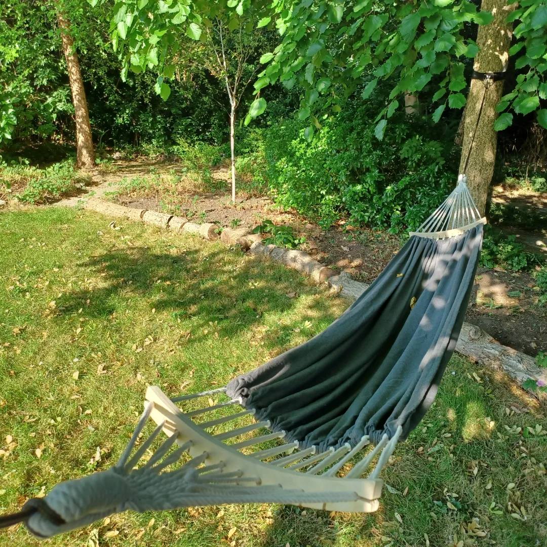 RainhamHallNT's tweet photo. Looking for a shady place to relax on a summers day... Rainham Hall community garden is open Wednesday to Sunday 11am to 4.30pm. Free to use. Café and facilities on site. Pop in and see us this summer.
#chilling #nature #communitygarden #rainhamhall https://t.co/s6sbE7QDPd
