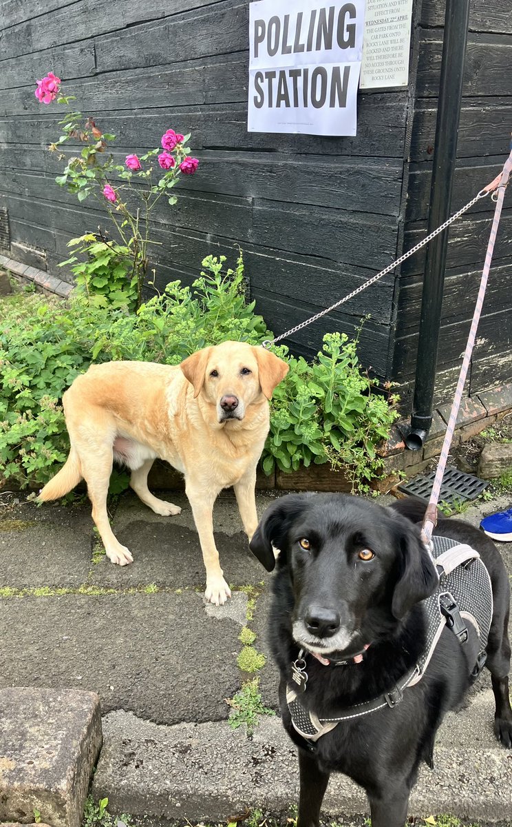 sjmitch74's tweet photo. #DogsAtPollingStations https://t.co/7Z1ALqwPFT