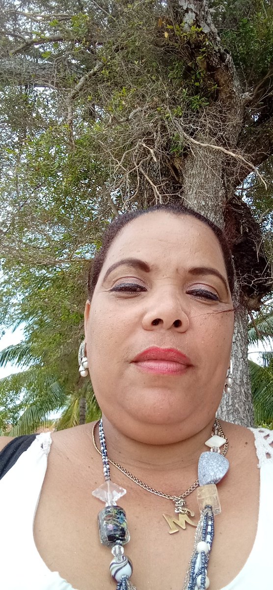 Se planta un árbol en el marco del Taller Nacional de implementación de la Ley 150 Del Sistema de Recursos Naturales y Medio Ambiente